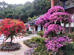 -广东罗浮山风景名胜区