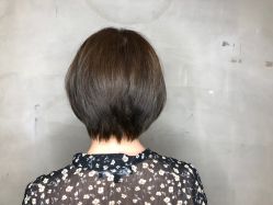 -Hair house发舍
