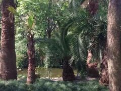 -苏州河梦清园环保主题公园