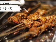 -福苗小骆驼烧烤(莲湖路店)