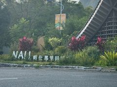 -明仕田园