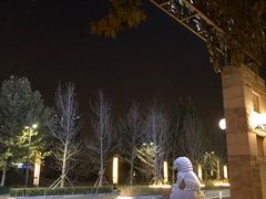 -北京西国贸大酒店