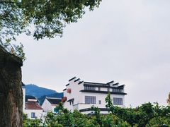 -树山生态村