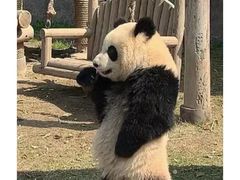 -北京动物园