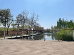 -上海山野camping·户外天幕烧烤·团建拓展营地