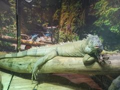 -多彩贵州城极地海洋世界