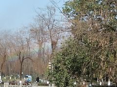 -灯盏窝饭店(新都分店)