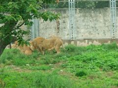 -西安秦岭野生动物园