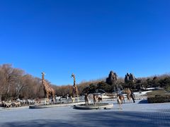 -北京野生动物园