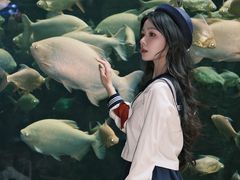 -南昌融创海世界