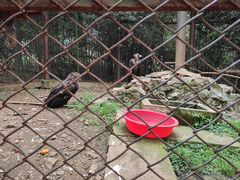 -合肥野生动物园