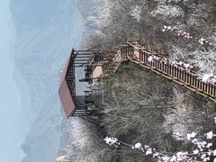 -大岭沟猕猴桃谷风景区