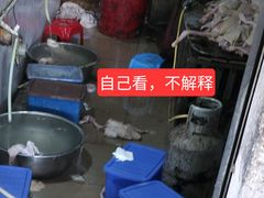 -霞姐屯昌枫木香草鸭店(海螺店)
