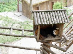-乐和乐都主题乐园