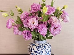 -三圣花乡旅游区