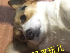 -维卡食舍(户部山店)