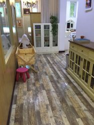 -星豆豆儿童摄影(南郊太白南路店)