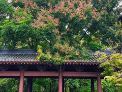 -祥源·阜阳生态乐园