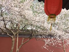 -钱王祠