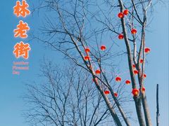 -三林塘老街
