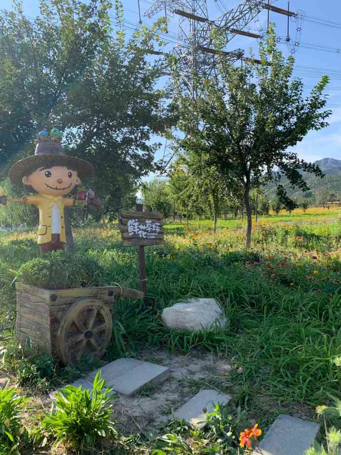 绿野仙踪郊野乐园-"公园刚开时间不长,目前试营业,价格很合适.