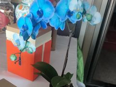 -顺峰(农展馆店)