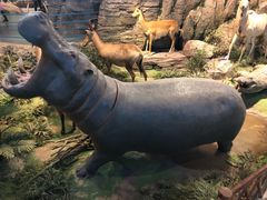 -陕西自然博物馆