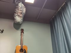 -Monkey Music小猴子现代音乐
