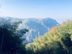 -藏龙百瀑风景区