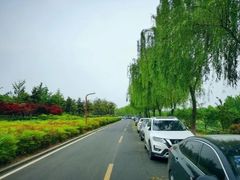 -洨河生态公园