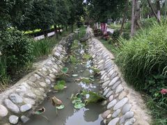 -洪湖家庭农场·团建·露营·会议