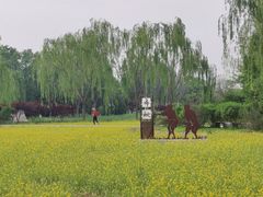 -北坞公园