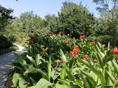 -青岛中山公园-索道售票处