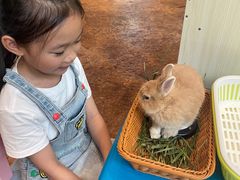 -杭州开元森泊度假乐园