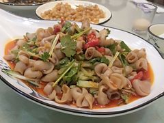 凉拌鱼肚-鑫悦楼煎蟹·16年海鲜大排档