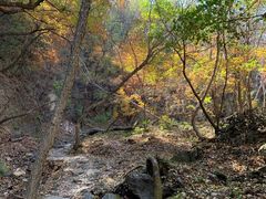 -玉渡山自然风景区