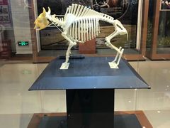 -迪庆藏族自治州博物馆