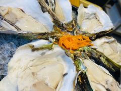 -蚝大仙横琴生蚝火锅(中央汇店)