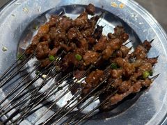 -杨记烤肉老店