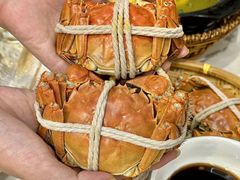 -蟹天蟹地农家菜·阳澄湖大闸蟹(浅水湾店)