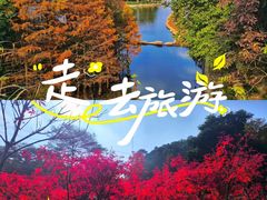-广州市帽峰山景区