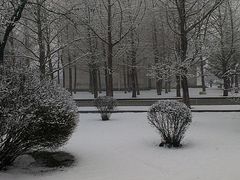 -辽宁大学(崇山校区)
