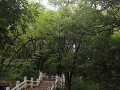 -灵岩山风景区