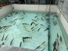 -钰田大院·碳烤虹鳟鱼·怀柔地道农家菜(雁栖湖店)