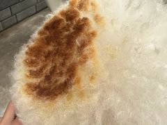 -美联众合动物医院·24h转诊中心