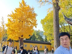 -西园寺素食(西园弄戒幢律寺店)