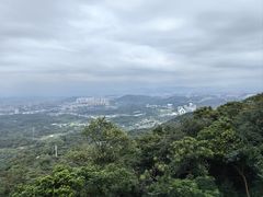 -黄埔油麻山森林公园