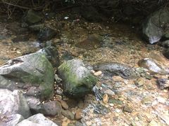 -牛鱼嘴原始生态风景区