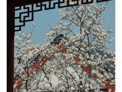-堤角公园