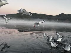 -丽江泸沽湖景区